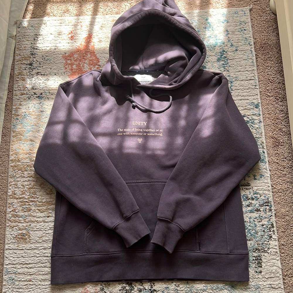 Aritzia TNA Purple Boyfriend Hoodie
